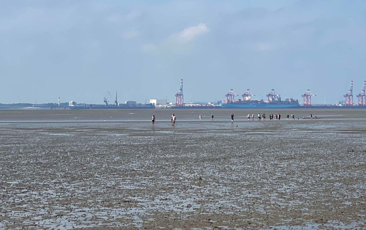 Blick über das Wattenmeer bei Ebbe, am Horizont ein Hafen