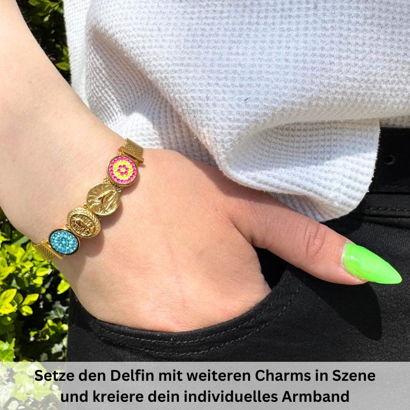 Charm Delfin (Lüttje-Charming)