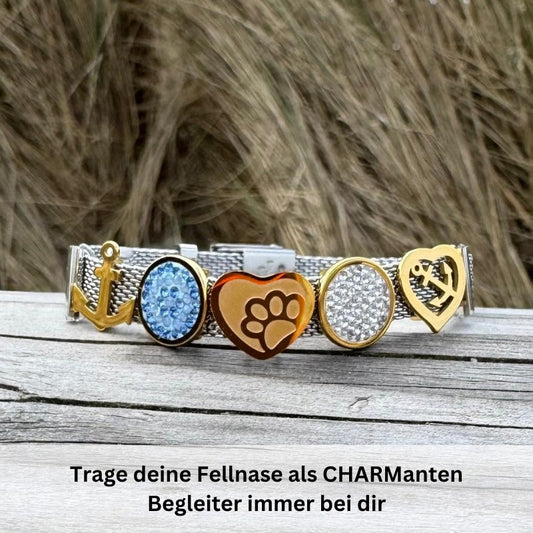 Charm Herz & Pfote (Lüttje-Charming)