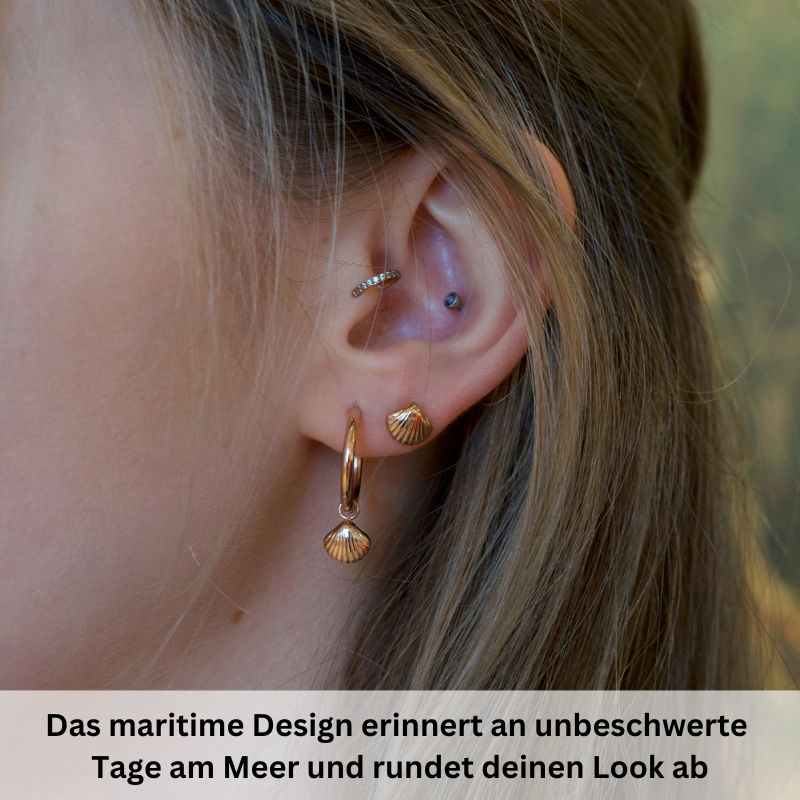 Geschenk-Set Muschel