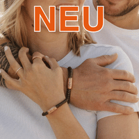 Deichbrise-Onlineshop